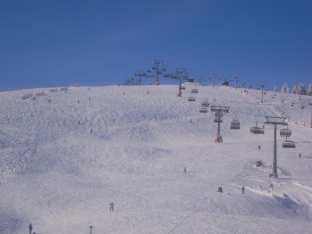 Landgasthaus Gemsennest Hotell Feldberg  Exteriör bild