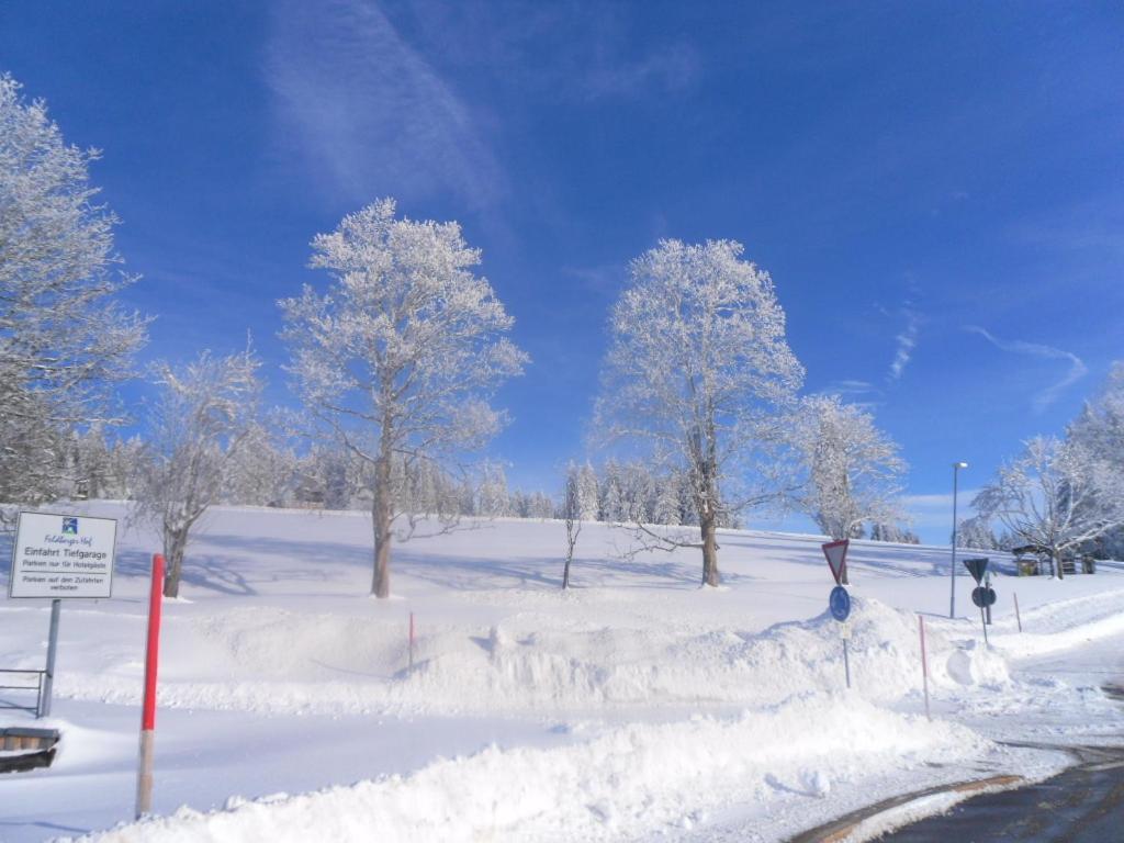 Landgasthaus Gemsennest Hotell Feldberg  Exteriör bild