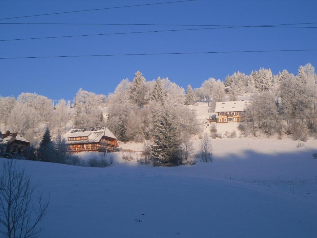 Landgasthaus Gemsennest Hotell Feldberg  Exteriör bild