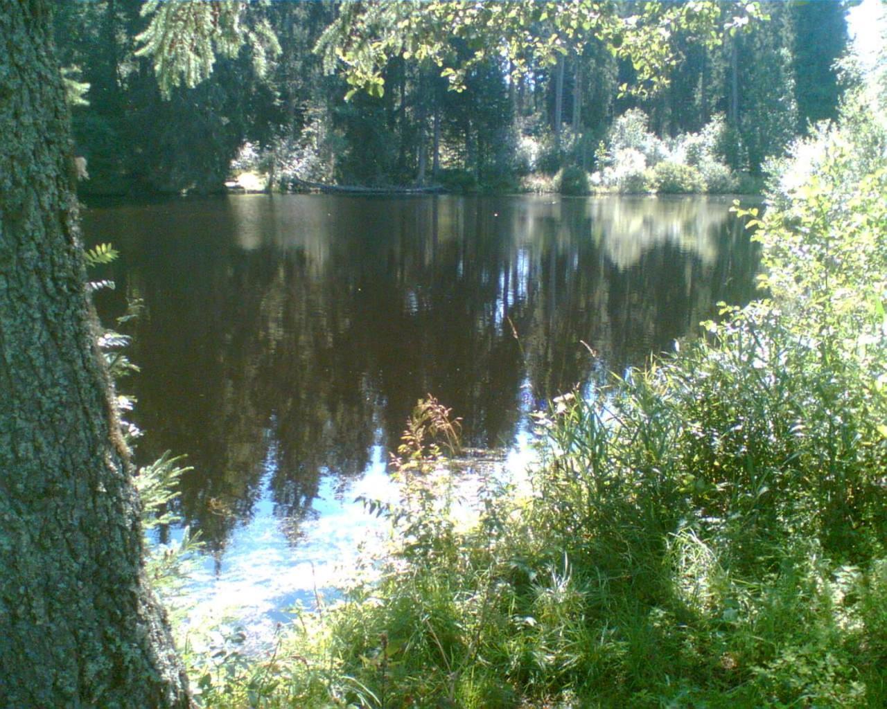 Landgasthaus Gemsennest Hotell Feldberg  Exteriör bild