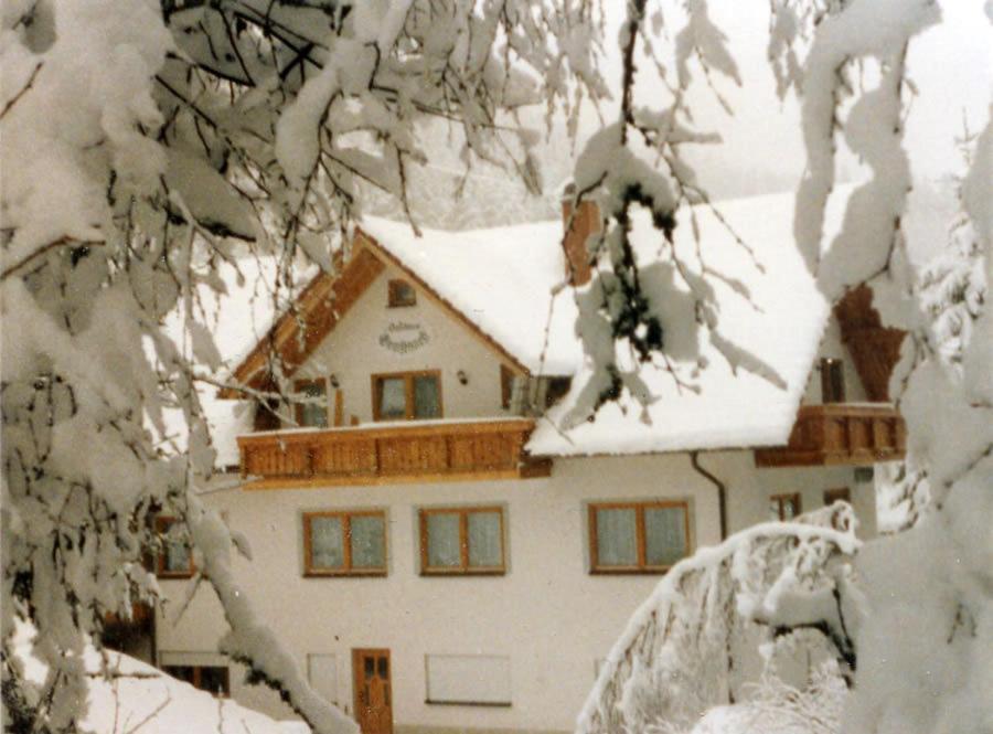 Landgasthaus Gemsennest Hotell Feldberg  Exteriör bild