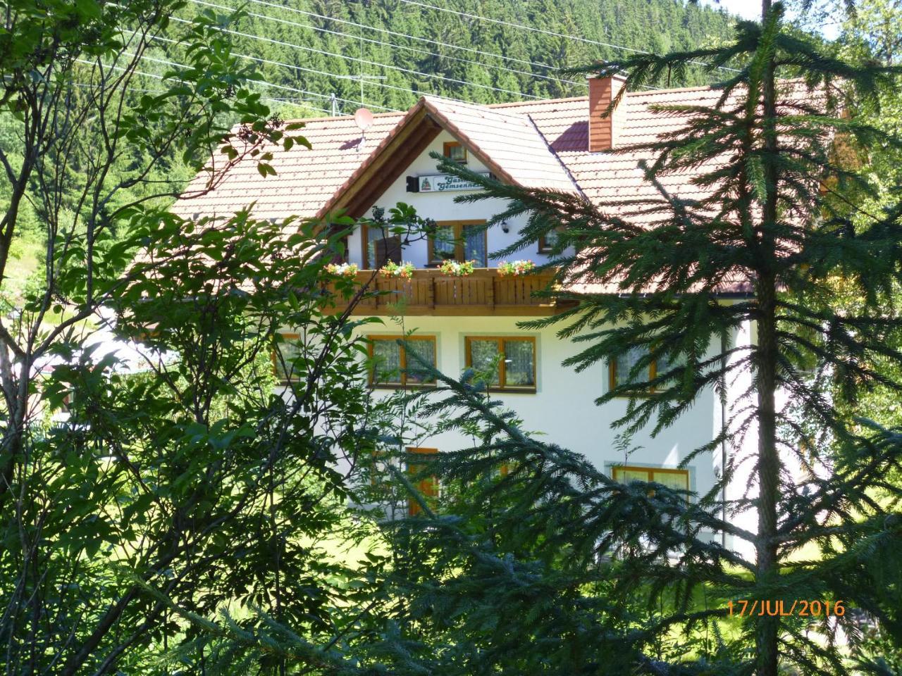 Landgasthaus Gemsennest Hotell Feldberg  Exteriör bild